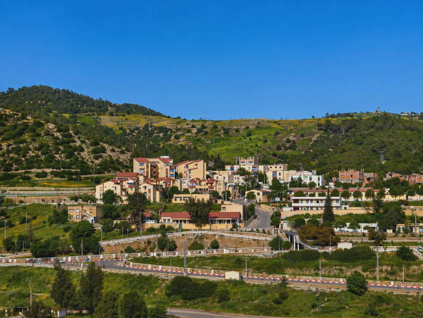 حملة غرس الأشجار