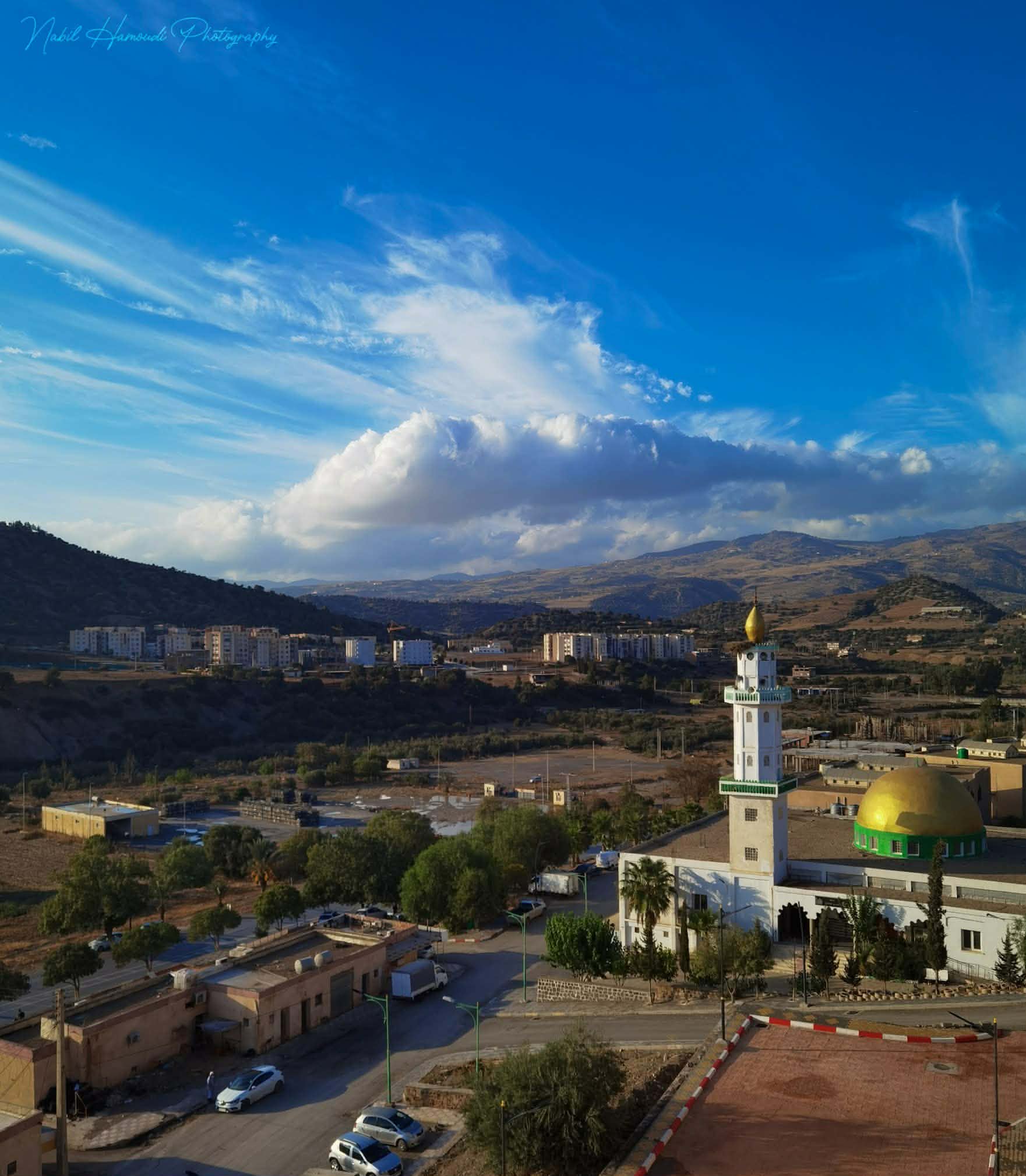 تطوير الأحياء السكنية